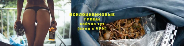 спайс Бородино