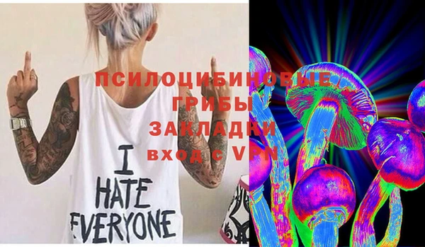 тгк Бронницы